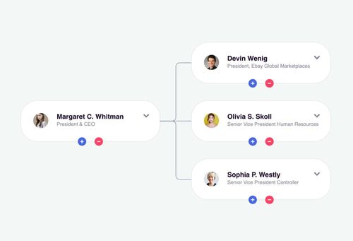 6363b8aac35f191791db25b2_organizational-chart-preview-p-500